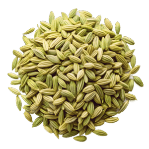 Fennel Seeds