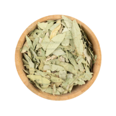 Sana Makki Sana Makki